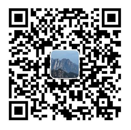 STranslate 界面截图 2