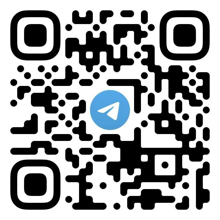 STranslate 界面截图 3